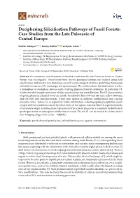 Deciphering Silicification Pathways of Fossil Forests: Case Studies from the Late Paleozoic of Central Europe