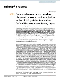 Consecutive Sexual Maturation Observed in a Rock Shell