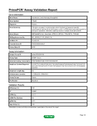 Primepcr™Assay Validation Report