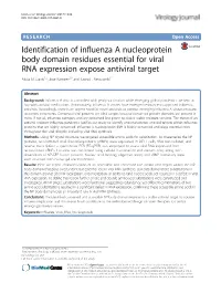 Identification of Influenza a Nucleoprotein Body Domain Residues Essential for Viral RNA Expression Expose Antiviral Target Alicia M