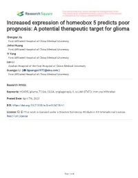 Increased Expression of Homeobox 5 Predicts Poor Prognosis: a Potential Therapeutic Target for Glioma