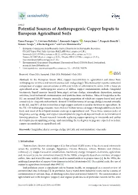 Potential Sources of Anthropogenic Copper Inputs to European Agricultural Soils