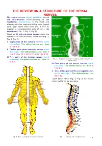 The Review on a Structure of the Spinal Nerves