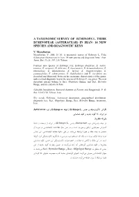 (Asteraceae) in Iran: 14 New Species and Diagnostic Keys