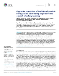 Born Granule Cells During Implicit Versus Explicit Olfactory Learning
