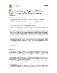 Microstructural Surface Properties of Drifting Seeds—A Model for Non-Toxic Antifouling Solutions