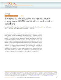 Site-Specific Identification and Quantitation of Endogenous SUMO Modifications Under Native Conditions