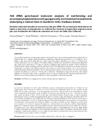 16S Rrna Gene-Based Molecular Analysis of Mat-Forming And