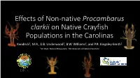 Effects of Non-Native Procambarus Clarkii on Native Crayfish Populations in the Carolinas Kendrick1, M.R., E.B