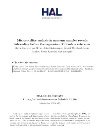 Microsatellite Analysis in Museum Samples