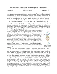 The Mysterious Central Atom in the Nitrogenase Femo Cofactor