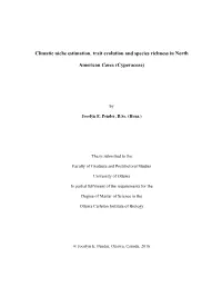 Climatic Niche Estimation, Trait Evolution and Species Richness in North