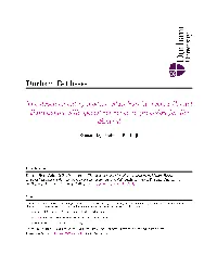 Durham E-Theses