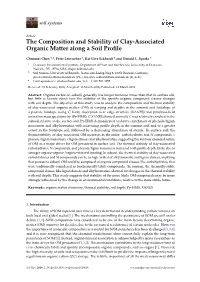 The Composition and Stability of Clay-Associated Organic Matter Along a Soil Proﬁle