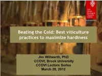 Beating the Cold: Best Viticulture Practices to Maximize Hardiness