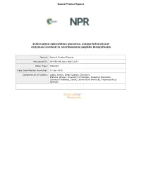 Interrupted Adenylation Domains: Unique Bifunctional Enzymes Involved in Nonribosomal Peptide Biosynthesis