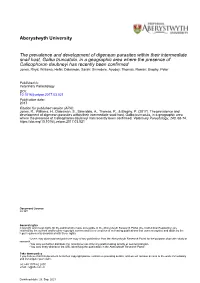 The Prevalence and Development of Digenean Parasites Within