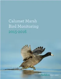 Calumet Marsh Bird Monitoring 2015-2016