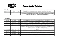 Crape Myrtle Varieties