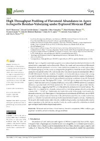 High Throughput Profiling of Flavonoid Abundance in Agave