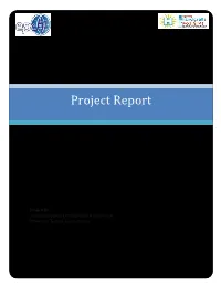 Project Report