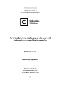 The Variable Behavioural and Physiological Outcome of Social Challenges in Two Species of Brazilian Damselfish