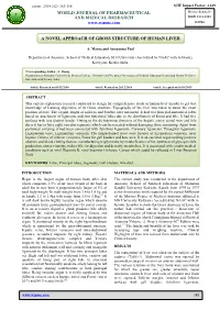 A Novel Approach of Gross Structure of Human Liver