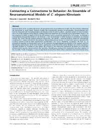 Connecting a Connectome to Behavior: an Ensemble of Neuroanatomical Models of C. Elegans Klinotaxis