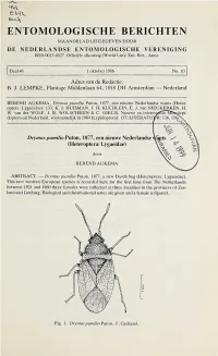 Download PDF ( Final Version , 694Kb )