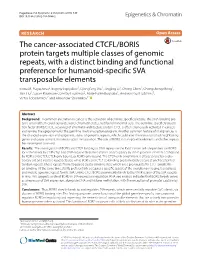 The Cancer-Associated CTCFL/BORIS Protein Targets Multiple Classes of Genomic Repeats, with a Distinct Binding and Functional Pr
