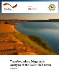Transboundary Diagnostic Analysis of the Lake Chad Basin