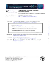 Chain-Deficient Igm Structural and Functional Analysis of J