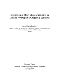 Dynamics of Root Microorganisms in Closed Hydroponic Cropping Systems