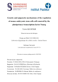 Genetic and Epigenetic Mechanisms of the Regulation of Mouse Embryonic Stem Cells Self-Renewal by the Pluripotency Transcription Factor Nanog