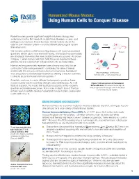 Humanized Mouse Models: Using Human Cells to Conquer Disease