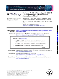 Molecular Profile of Tumor-Specific CD8+ T Cell Hypofunction in a Transplantable Murine Cancer Model