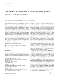The Detection and Implication of Genome Instability in Cancer