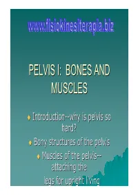 Pelvis I: Bones and Muscles