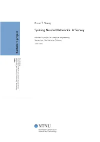 Spiking Neural Networks: Asurvey Oscar T