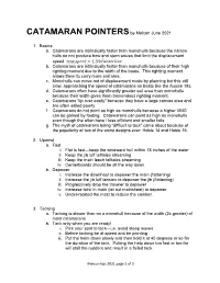 CATAMARAN POINTERS by Melcon June 2021