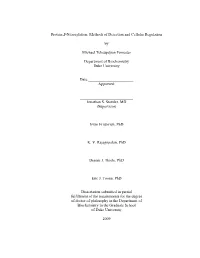 Protein S-Nitrosylation: Methods of Detection and Cellular Regulation