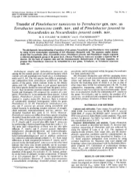 Transfer of Pimelobacter Tumescens to Terrabacter Gen. Nov. As Terrabacter Tumescens Comb. Nov. and of Pimelobacter Jensenii To