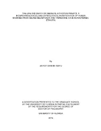 University of Florida Thesis Or Dissertation Formatting Template