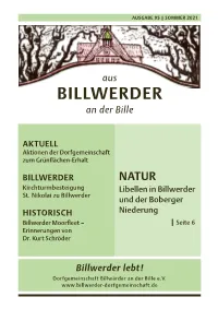 BILLWERDER an Der Bille