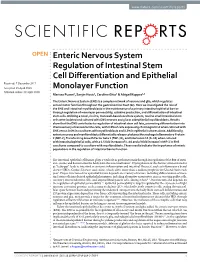 Enteric Nervous System Regulation of Intestinal Stem Cell Differentiation