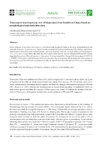 Truncospora Macrospora Sp. Nov. (Polyporales) from Southwest China Based on Morphological and Molecular Data