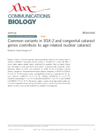 Common Variants in SOX-2 and Congenital Cataract Genes Contribute to Age-Related Nuclear Cataract