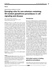 Emerging Roles for Non-Selenium Containing ER-Resident Glutathione