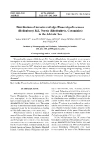 Distribution of Invasive Red Alga Womersleyella Setacea (Hollenberg) R.E
