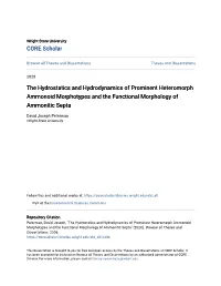 The Hydrostatics and Hydrodynamics of Prominent Heteromorph Ammonoid Morphotypes and the Functional Morphology of Ammonitic Septa